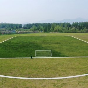 闪亮登场！巢湖首个天然草坪标准足球场建成